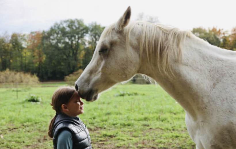 Kind steht ruhig vor einem Schimmel auf der Weide
